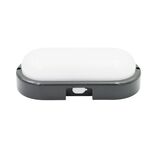 Led bulkhead wallmounted light oval PP body, PC cover, CCT IP65 15W Graphite