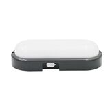 Led bulkhead wallmounted light oval PP body, PC cover, CCT IP65 20W Graphite