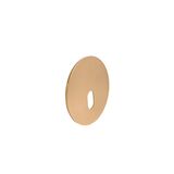 Alluminum Frame round with OVAL hole for recessed lighting fitting 3-928, Golden