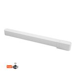 ΤΡΟΦΟΔΟΤΙΚΟ DIM+TUYA ΜΙΝΙ ΦΩΤΙΣΤ.ΡΑΓΑΣ 100W 230VAC/40VDC ΛΕΥΚΟ