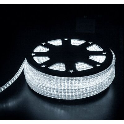 Led Rope Light Clear Flat  11x14mm 2wires 36led/m Cool White