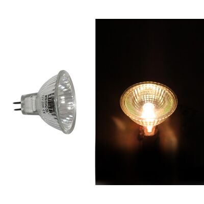 Halogen Dichroic Lamp MR16 12V 38° 20W With Cover