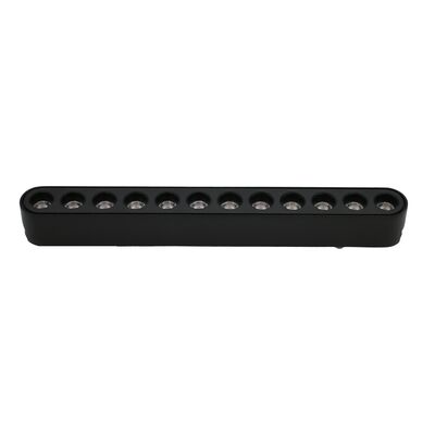 LED ΦΩΤΙΣTIKO ΡΑΓΑΣ ΜΙΝΙ 12W 40VDC 3000K ΜΑΥΡΟ