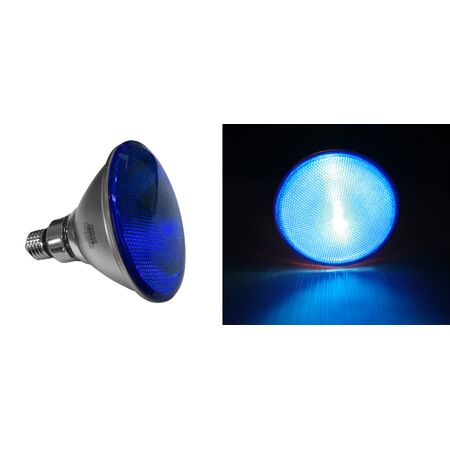 Halogen Lamp Hard Glass PAR38 120W 240V 30' blue