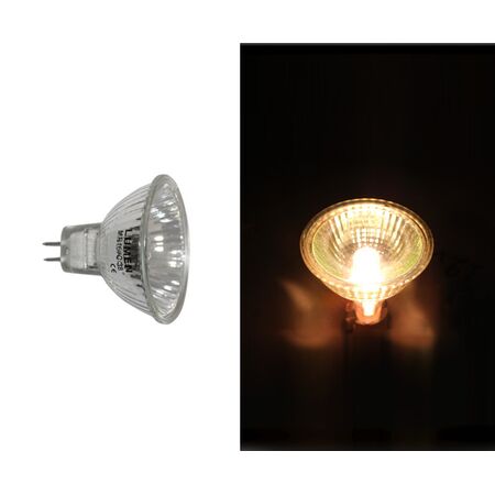 Halogen Dichroic Lamp MR16 12V 38° 35W With Cover